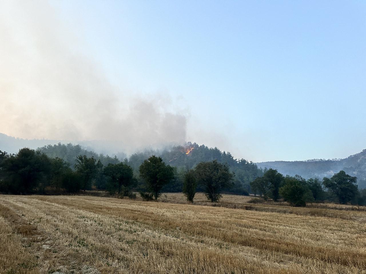 Göynük'te alevlerle mücadele sürüyor